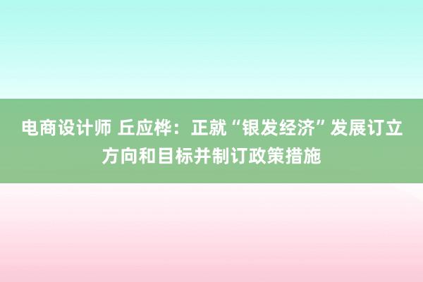 电商设计师 丘应桦：正就“银发经济”发展订立方向和目标并制订政策措施